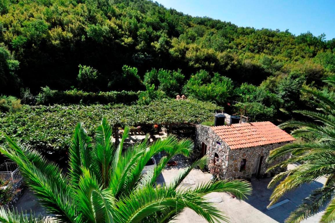 Apartments Radonjic Budva Exterior photo